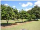 Elimbah QLD 4516