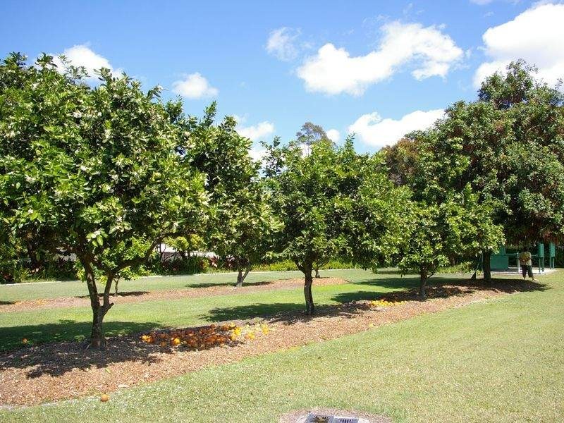 Elimbah QLD 4516