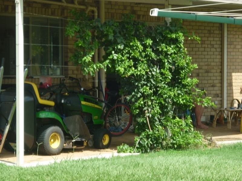 Beachmere QLD 4510