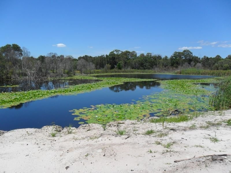 Beachmere QLD 4510
