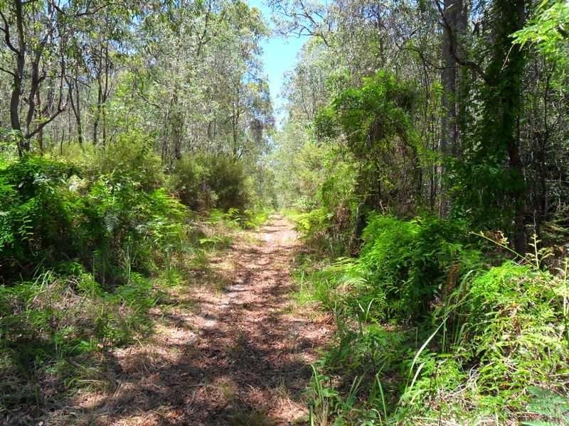 Beachmere QLD 4510