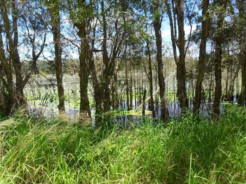 Beachmere QLD 4510