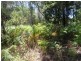 Beachmere QLD 4510