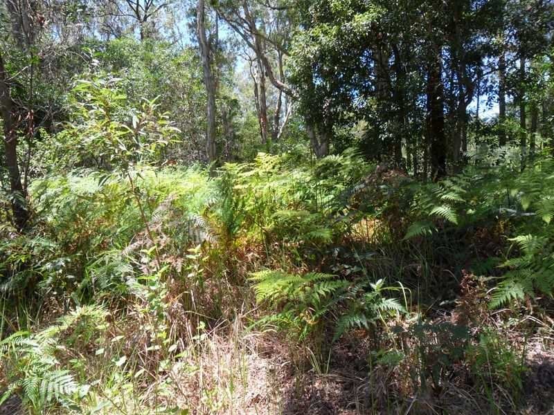 Beachmere QLD 4510