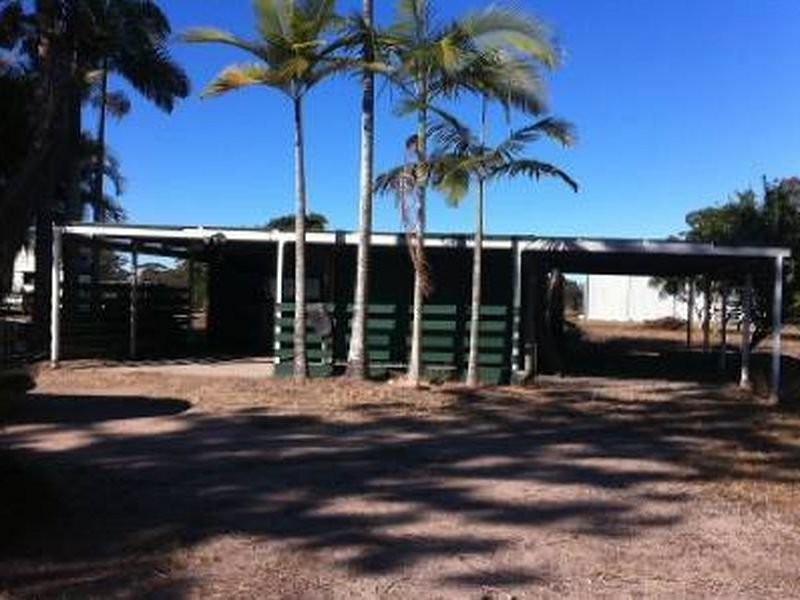 31 Conifer Rd, Morayfield QLD 4506
