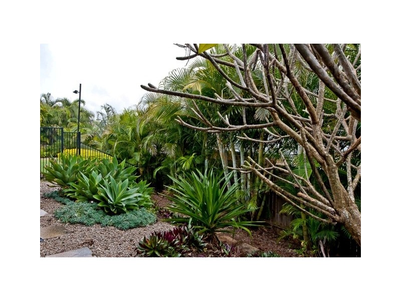 9 Rosa Ct, Narangba QLD 4504