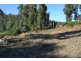 31 Matthews Way, Stoneville WA 6081