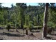 31 Matthews Way, Stoneville WA 6081