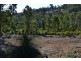 31 Matthews Way, Stoneville WA 6081