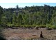 31 Matthews Way, Stoneville WA 6081