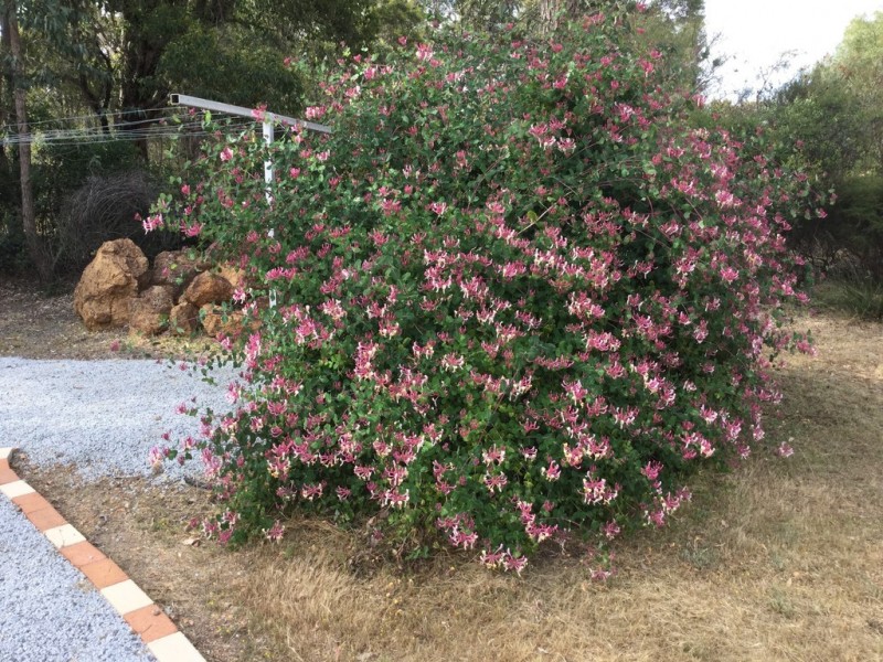 120 Woodlands Road, Stoneville WA 6081