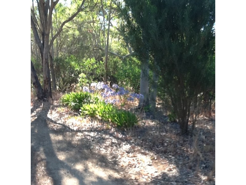 120 Woodlands Road, Stoneville WA 6081