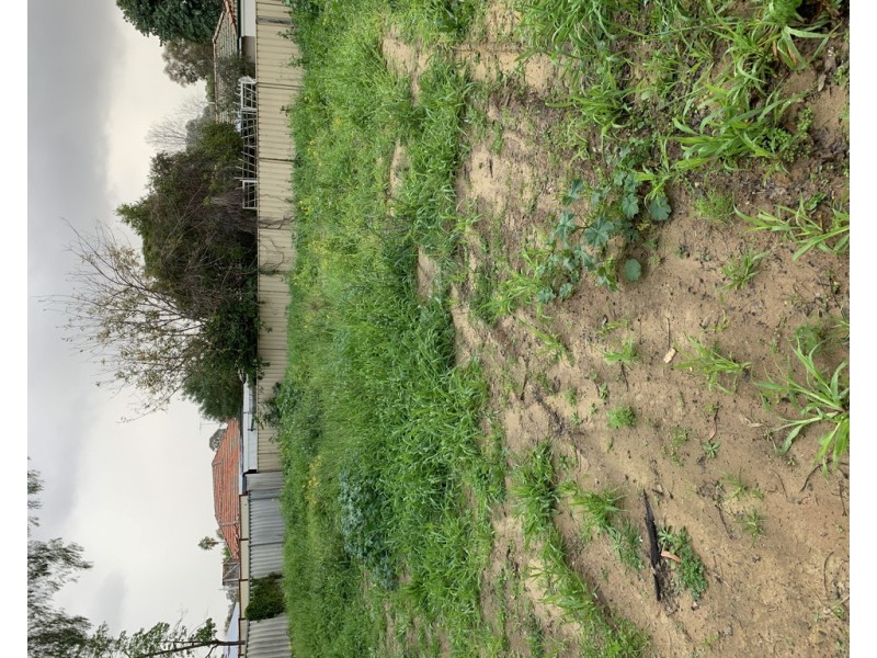 2/84 Whitfield Street, Bassendean WA 6054