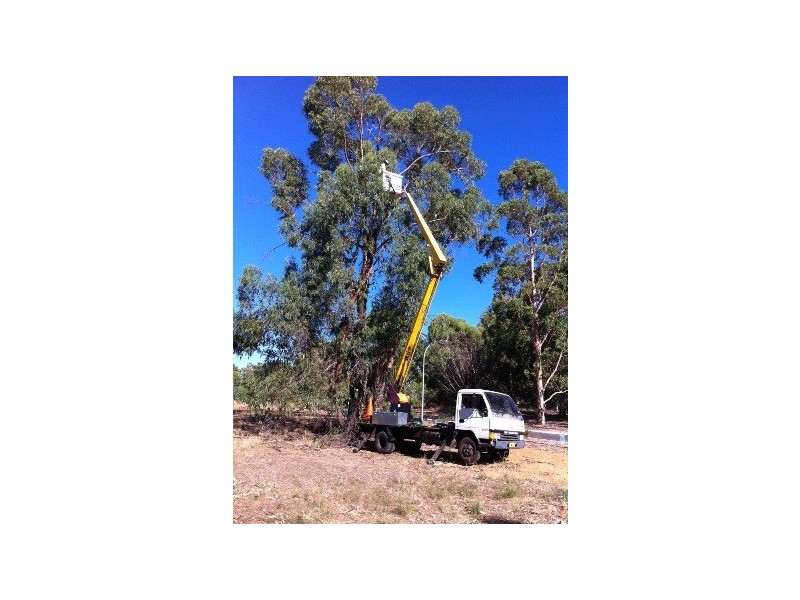 31 Smith, High Wycombe WA 6057