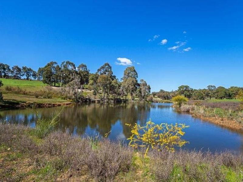 19 O’Brien Road, Gidgegannup WA 6083