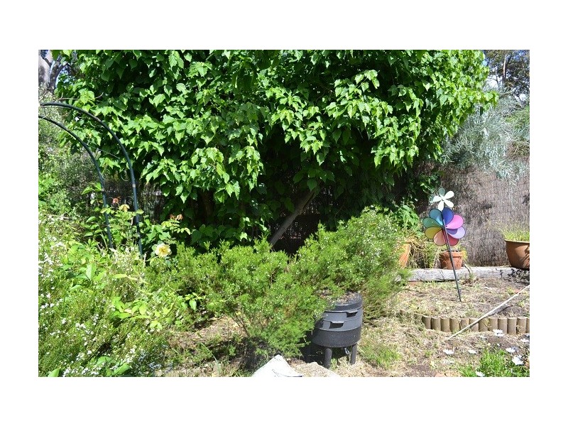 50 Sexton Street, Sawyers Valley WA 6074