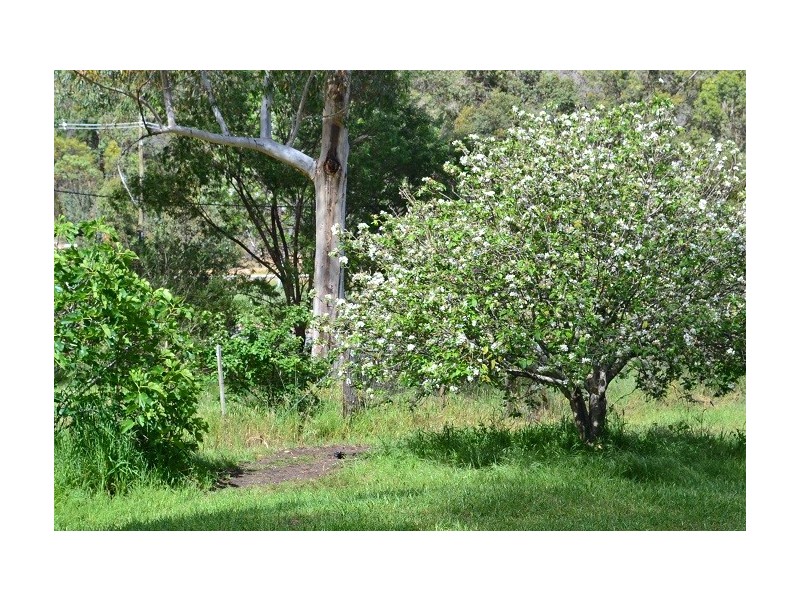 50 Sexton Street, Sawyers Valley WA 6074