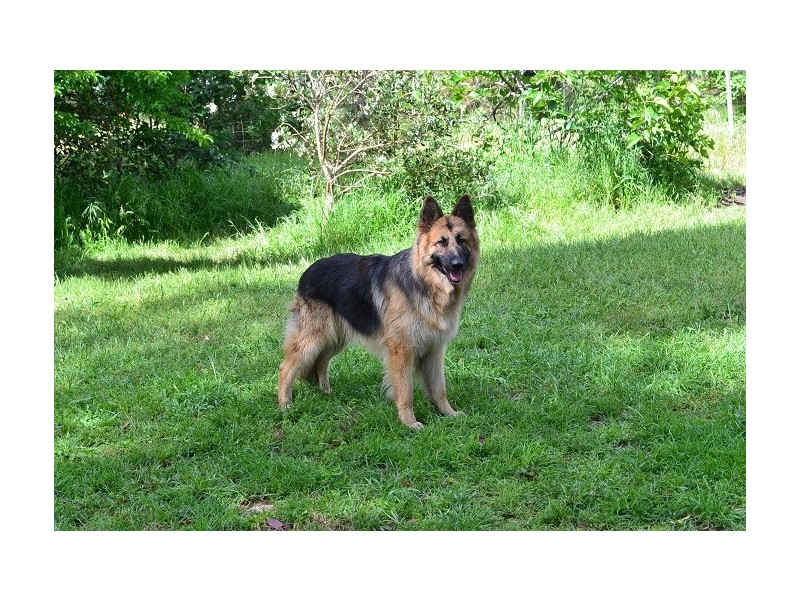 50 Sexton Street, Sawyers Valley WA 6074