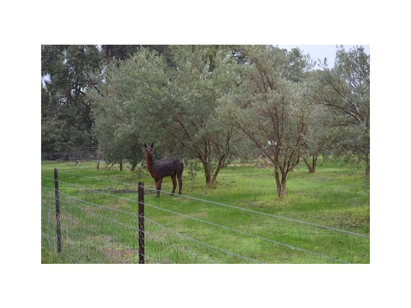 8 Hopedale Ridge, Gidgegannup WA 6083