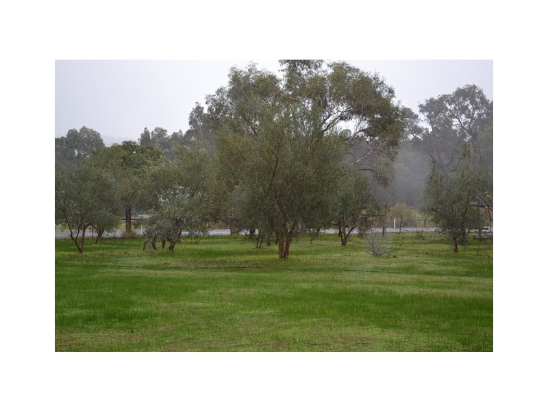 8 Hopedale Ridge, Gidgegannup WA 6083