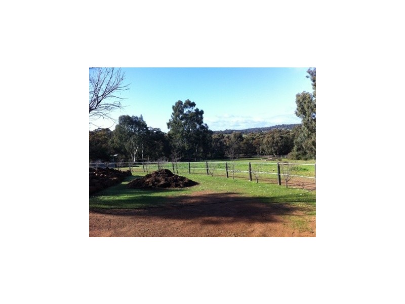 299 Bodeguero, Wundowie WA 6560