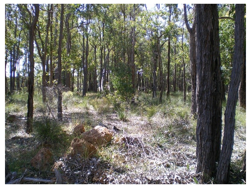 1945 Cook, Mount Helena WA 6082