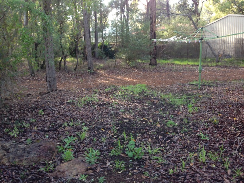 41 Patton Road, Mundaring WA 6073