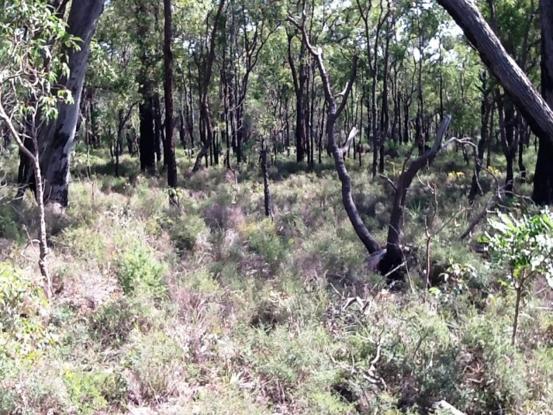 3280 Great Eastern Highway, Mahogany Creek WA 6072