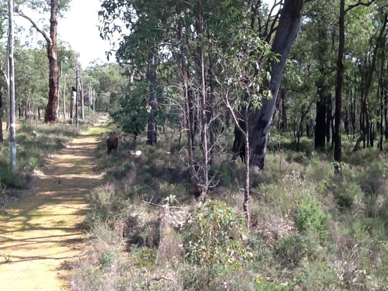 3280 Great Eastern Highway, Mahogany Creek WA 6072