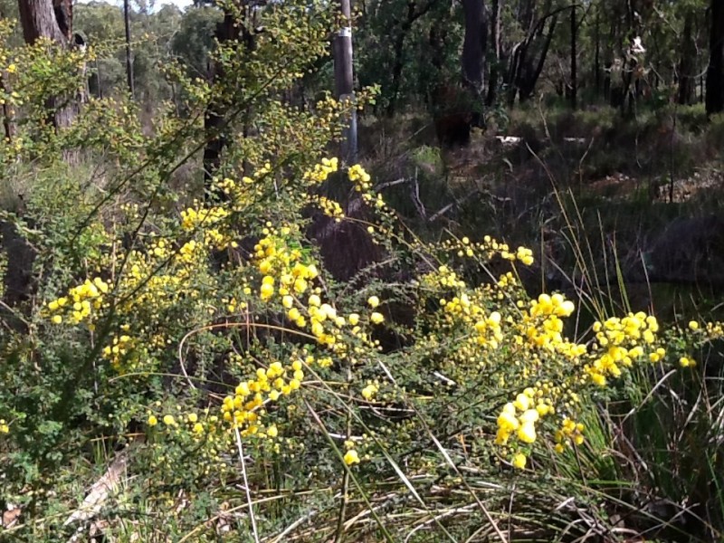 3280 Great Eastern Highway, Mahogany Creek WA 6072