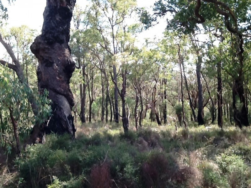 3280 Great Eastern Highway, Mahogany Creek WA 6072