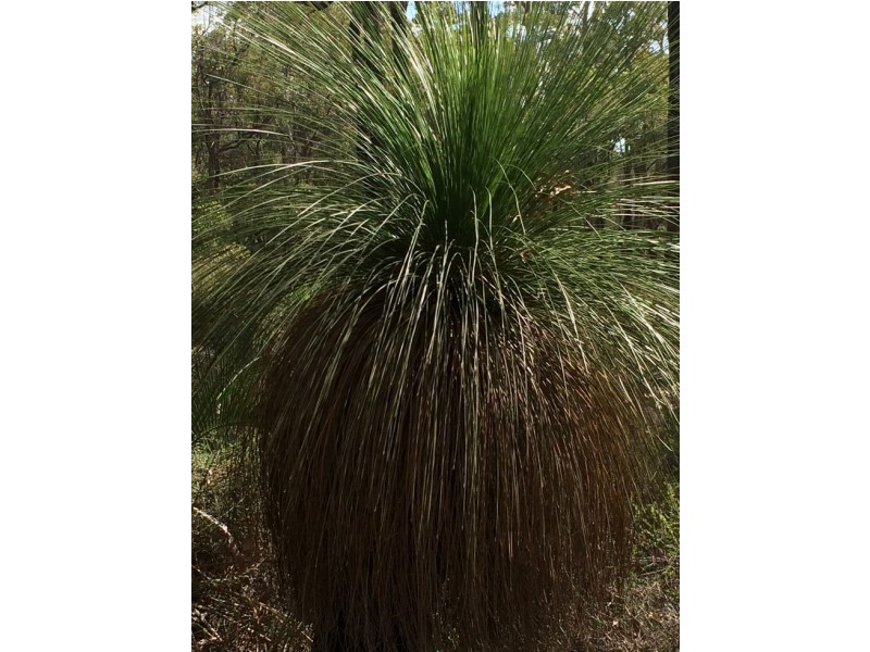 3280 Great Eastern Highway, Mahogany Creek WA 6072