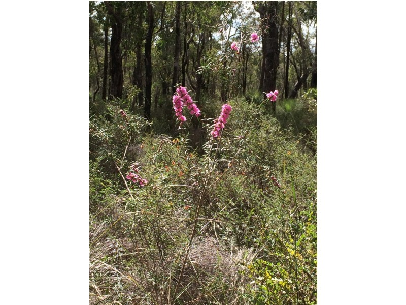 3280 Great Eastern Highway, Mahogany Creek WA 6072