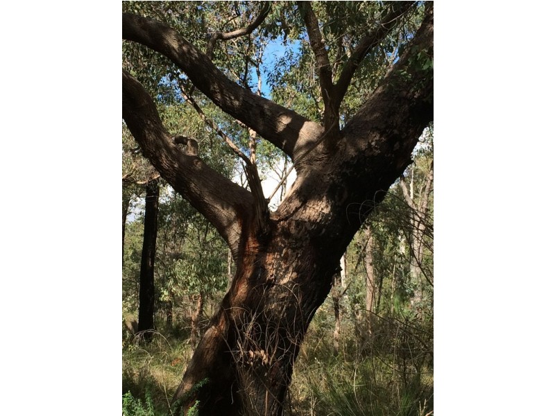 3280 Great Eastern Highway, Mahogany Creek WA 6072