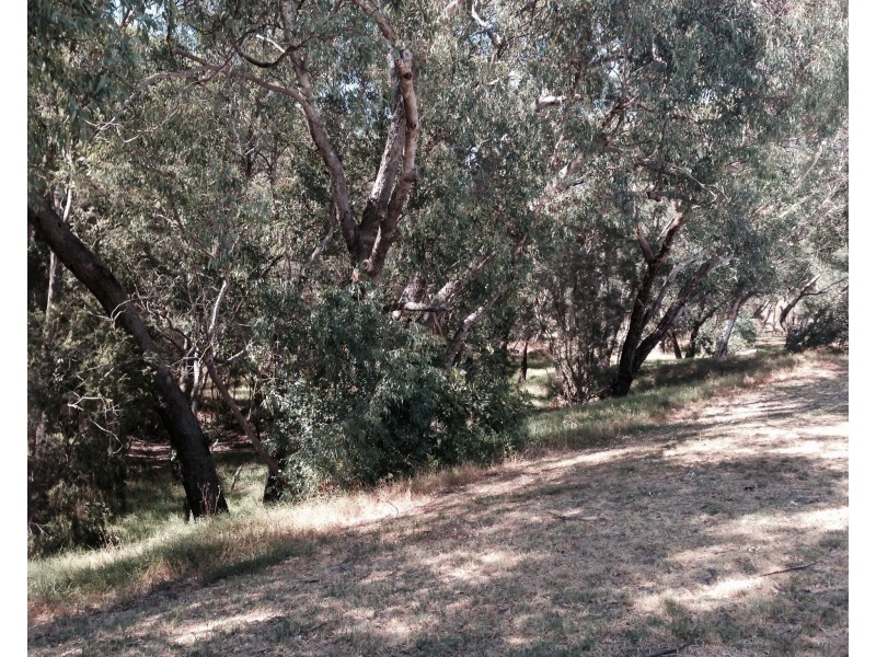 11/10 East, Guildford WA 6055