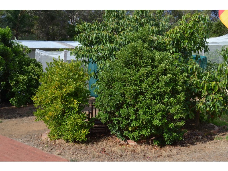 18 A Swan Road, Mahogany Creek WA 6072