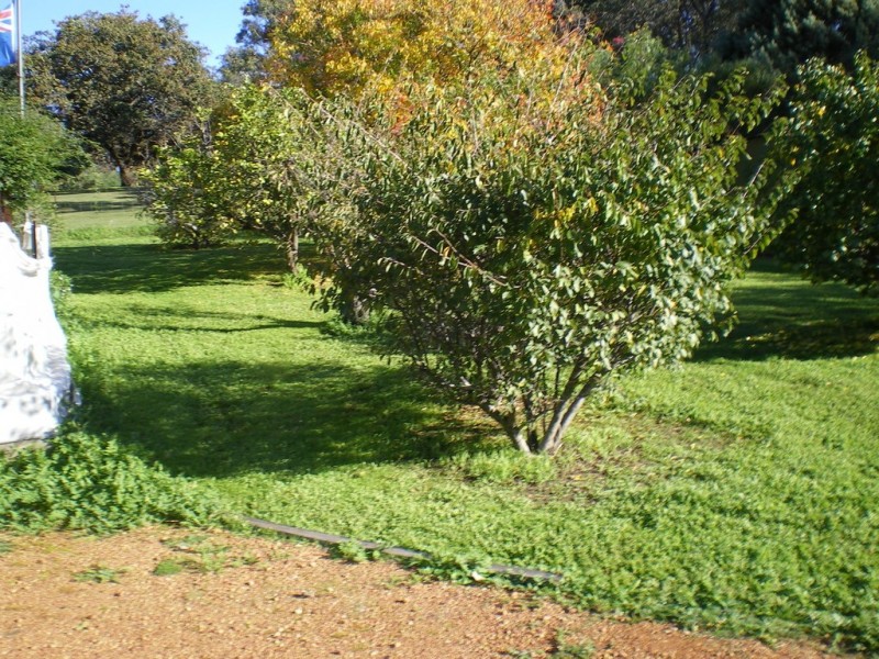 8145 Great Eastern Highway, Mundaring WA 6073