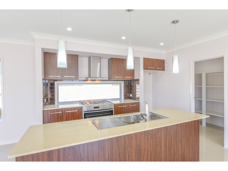 28 Grindelia Drive, Springfield Lakes QLD 4300