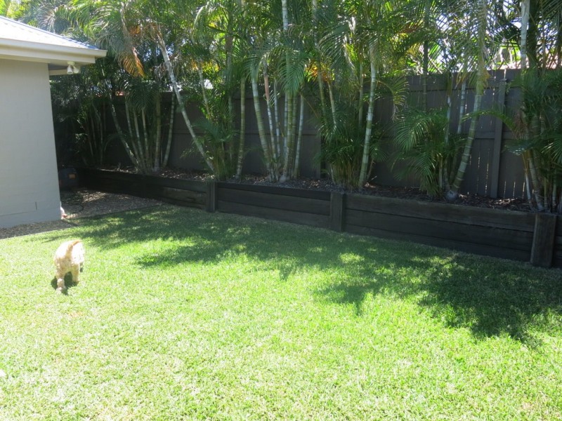 36 Swallowtail Crescent, Springfield Lakes QLD 4300