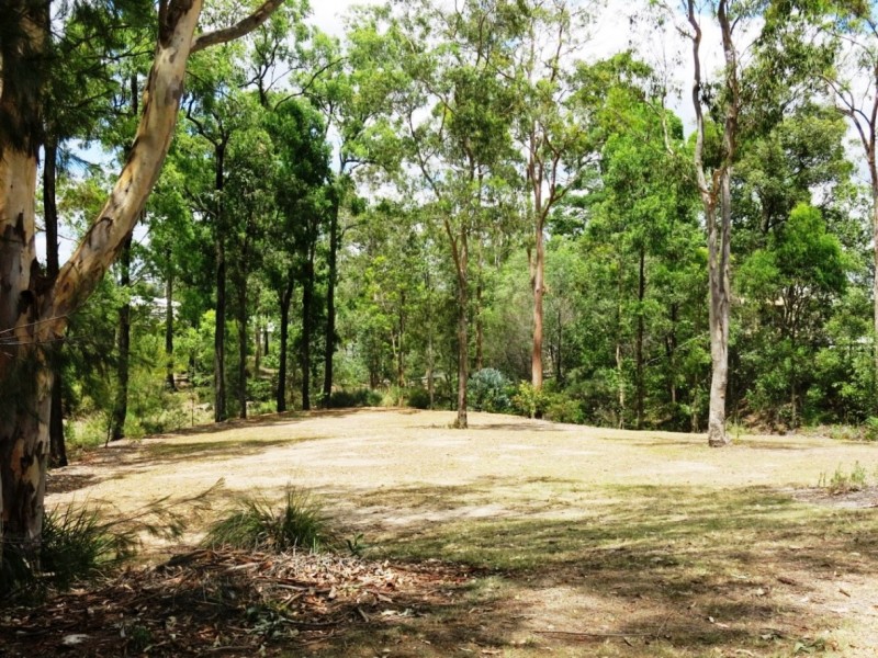 8 Burlington Terrace, Springfield Lakes QLD 4300