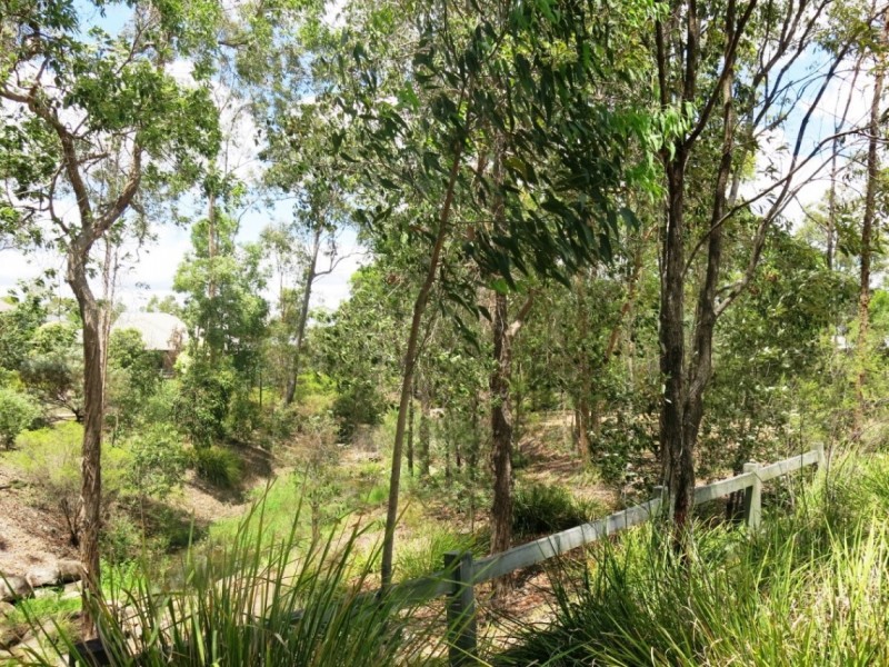 8 Burlington Terrace, Springfield Lakes QLD 4300