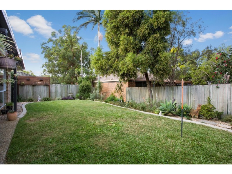3 Windflower Place, Springfield QLD 4300