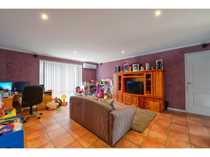 10 Curlew Street, Springfield QLD 4300