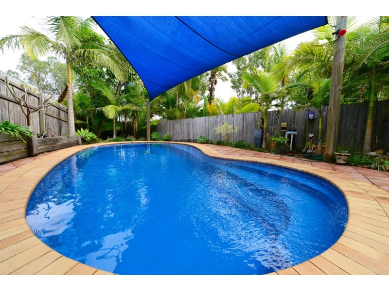 10 Curlew Street, Springfield QLD 4300