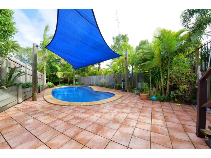 10 Curlew Street, Springfield QLD 4300