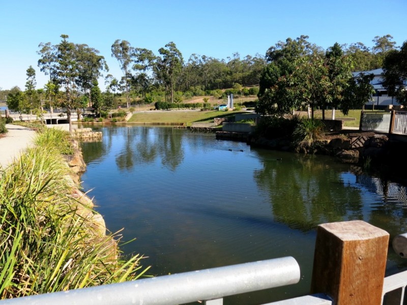 43 Riverine Drive, Springfield Lakes QLD 4300