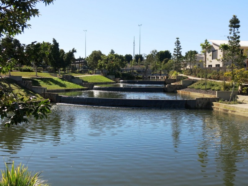 43 Riverine Drive, Springfield Lakes QLD 4300