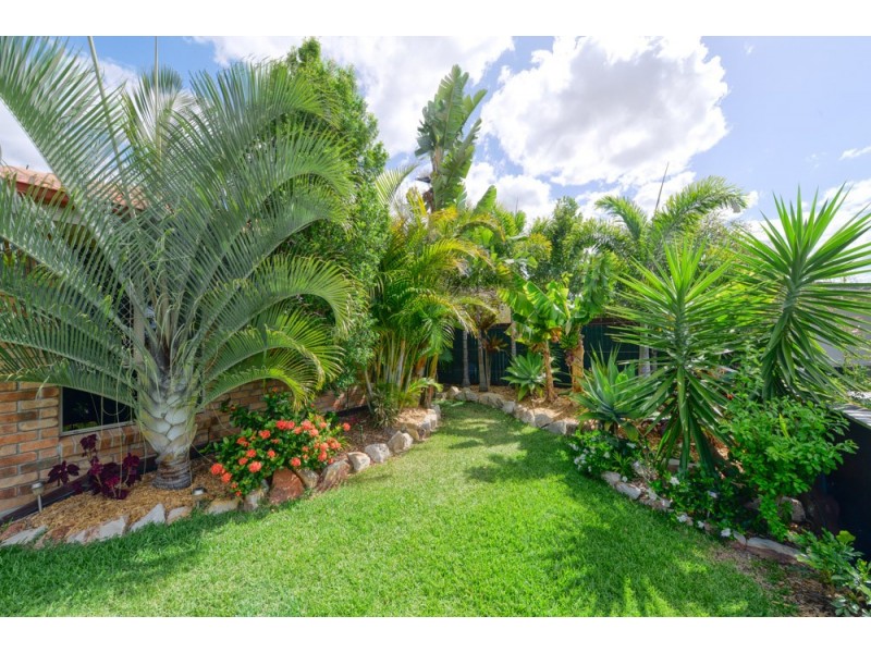 78 Amadeus Circuit, Springfield Lakes QLD 4300