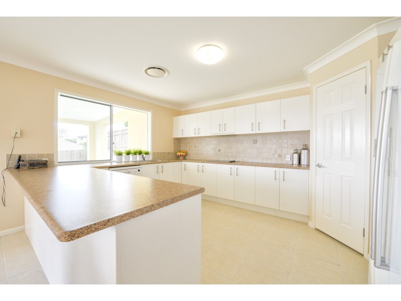 15 Opossum Circuit, Springfield Lakes QLD 4300