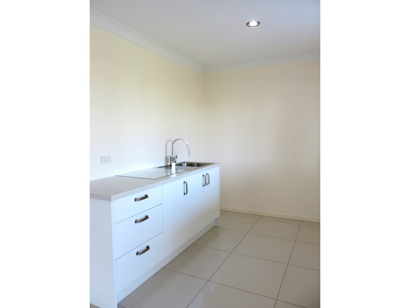8 Aspect Terrace, Springfield Lakes QLD 4300